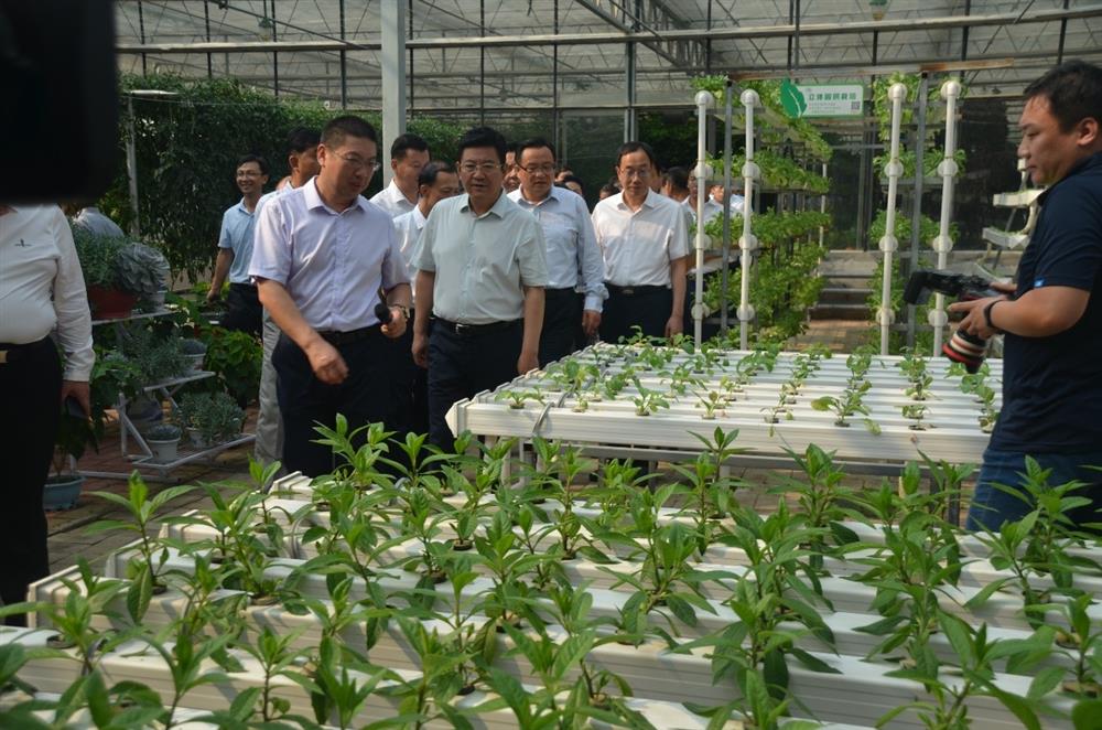 科技助農(nóng)，播撒光的種子  精準(zhǔn)扶貧，助力鄉(xiāng)村振興